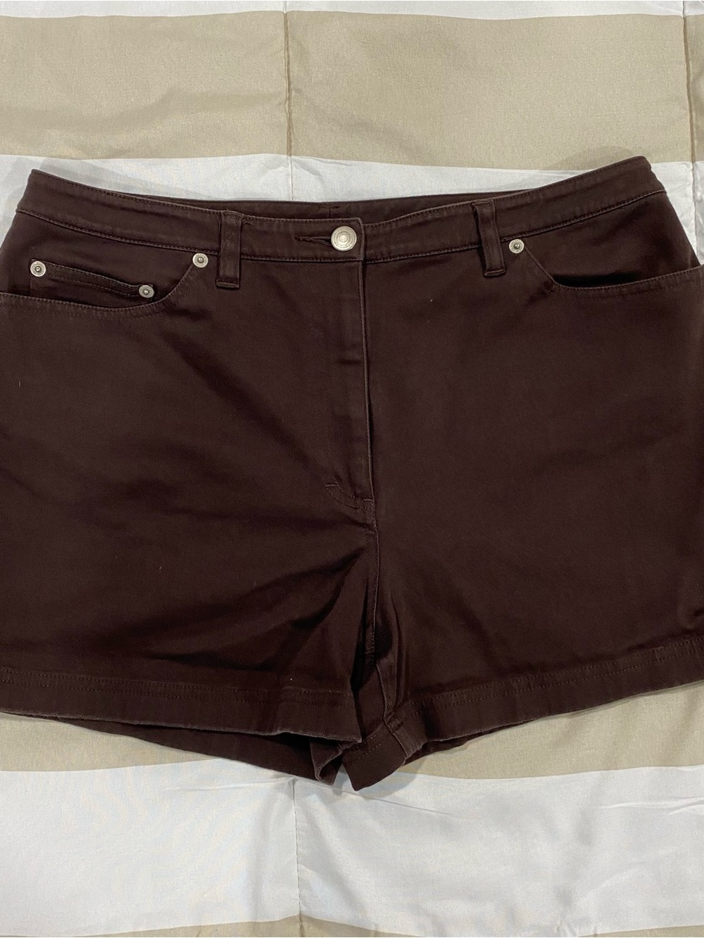 Ann Taylor LOFT Chocolate Brown Stretch Shorts